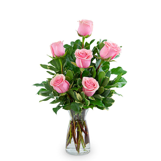 Pink Roses - 6
