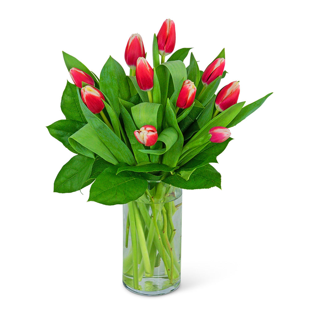 Tigress Tulips