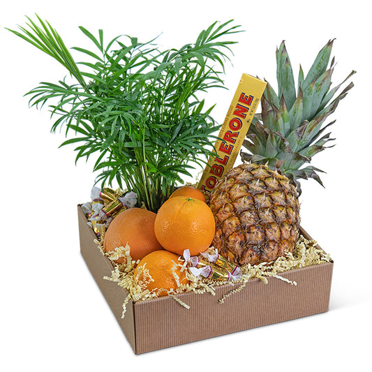 Tropical Oasis Basket