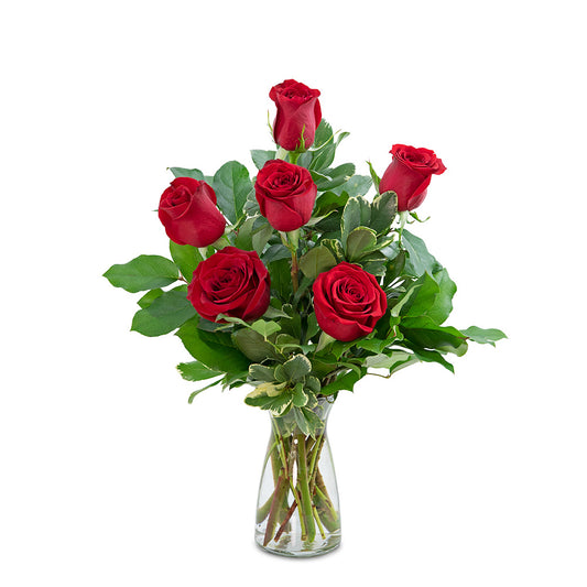 Red roses -6