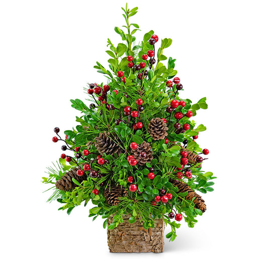 Adorned Boxwood Tree