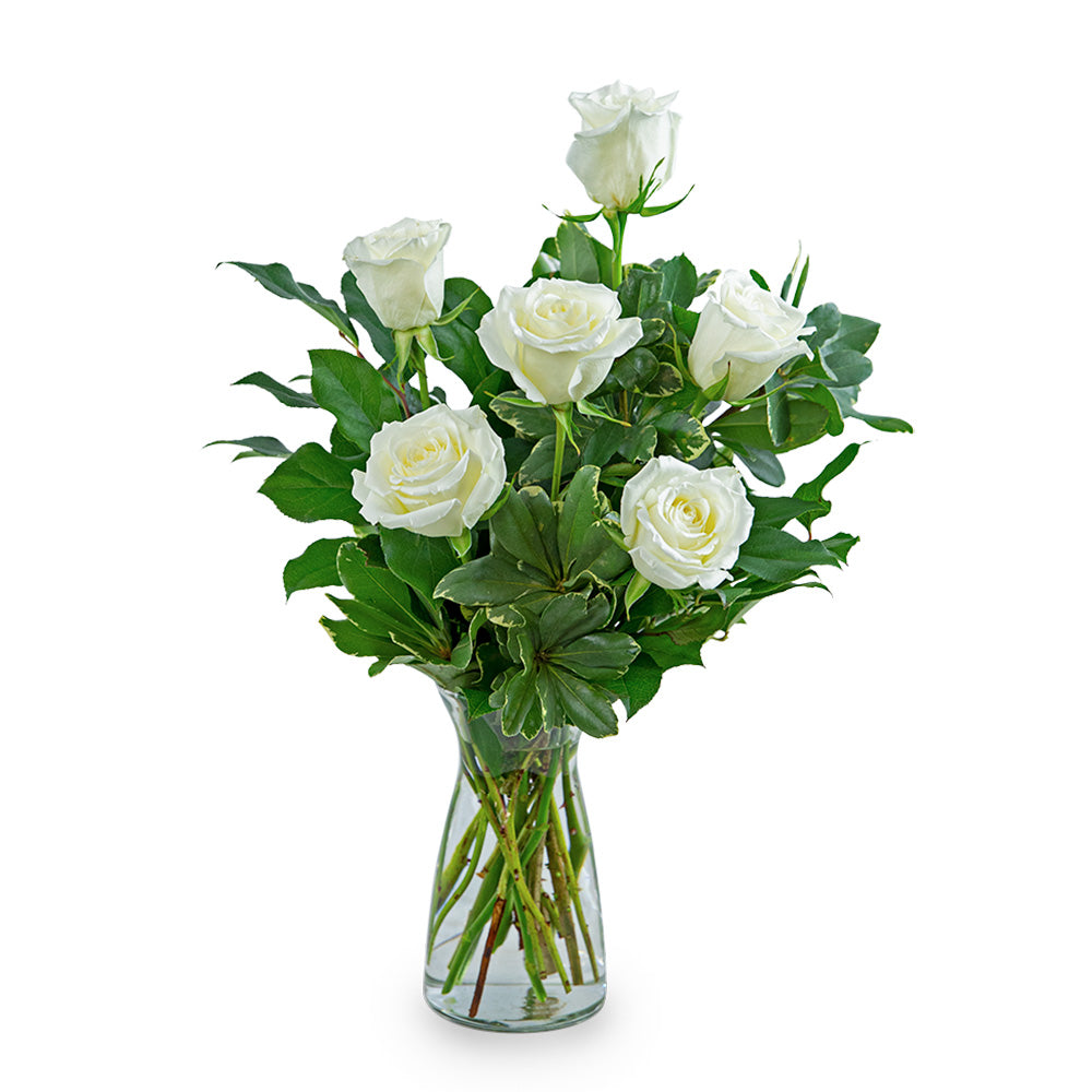 White Roses (6)