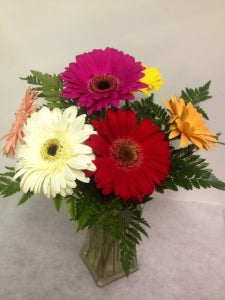 Gerbera Bouquet